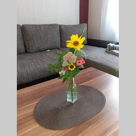 Gemutliche Zentrumsnahe Mit Gemeinschaftsgarten Apartment *