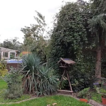 Apartment Gemutliche Zentrumsnahe Mit Gemeinschaftsgarten